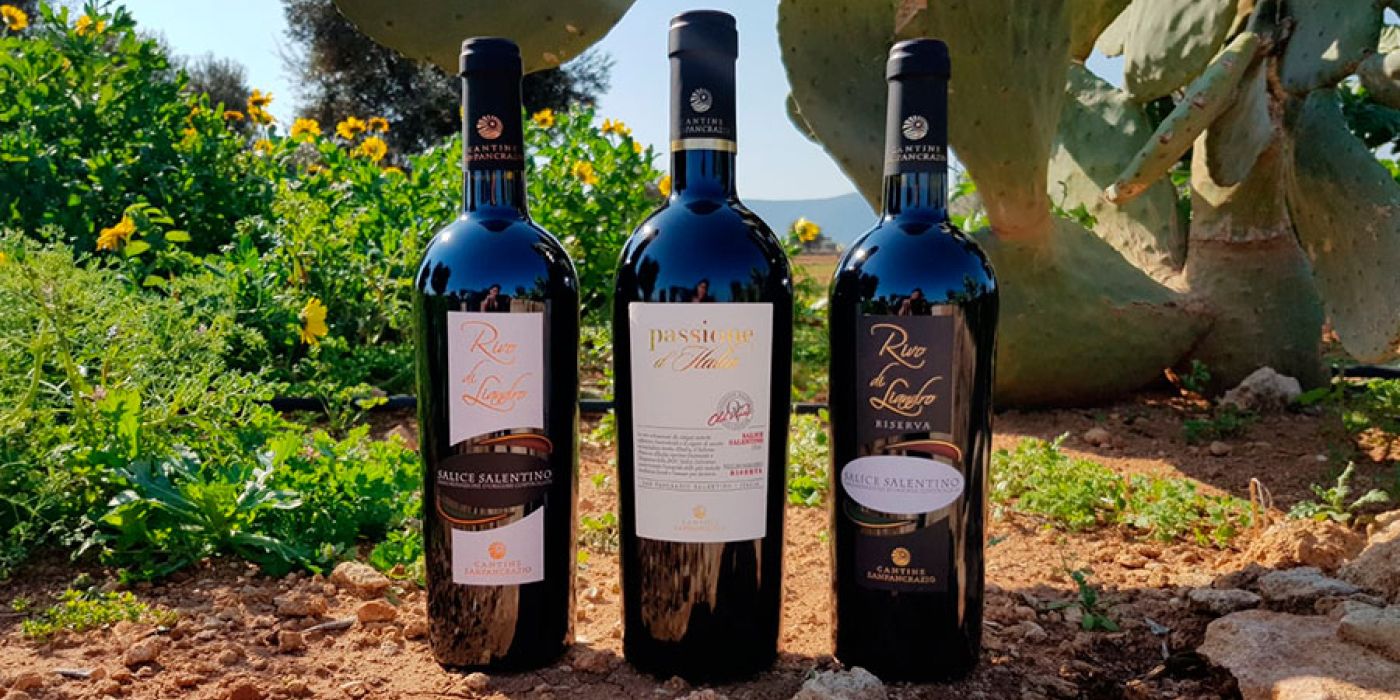 Cantine San Pancrazio premiate al Mundus Vini 2019